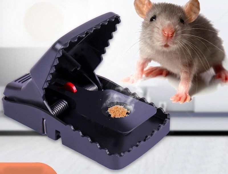 Portable Heavy Duty Mouse Trap (BUY 1 GET 1 FREE)