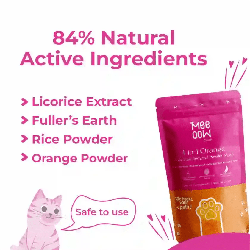 Painless Hair Removal Powder Mask 100gm - Ummati_Essentials